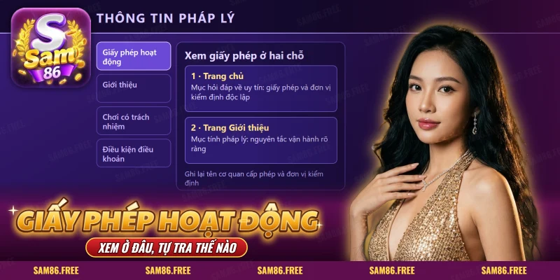 Giấy phép hoạt động SAM86: trang pháp lý với danh mục và hai khối chữ